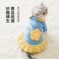 可爱公主裙猫咪衣服小奶猫猫宠物无防掉毛狗狗保暖春秋装薄款新年