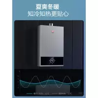 樱花官方旗舰店16升家用天然气恒温燃气热水器十大品牌排名 灰色 天然气