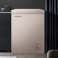 容声(Ronshen)100升小型家用冰柜冷冻冷藏迷你冷柜一级能效电脑控温