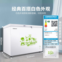 容声(Ronshen) 309升大容量冰柜家用商用冷藏冷冻转换单温冷柜 一级能效 雪糕冰柜 厨房冰箱 309升[节能单温