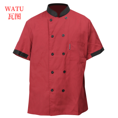 瓦图(WATU) 酒店厨师短袖工作服 餐饮厨师工作服 1件装