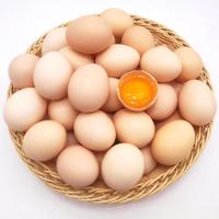 农家散养生态土鸡蛋虫草蛋新鲜农村笨鸡蛋月子宝宝蛋批发现拣现发 40枚土鸡蛋