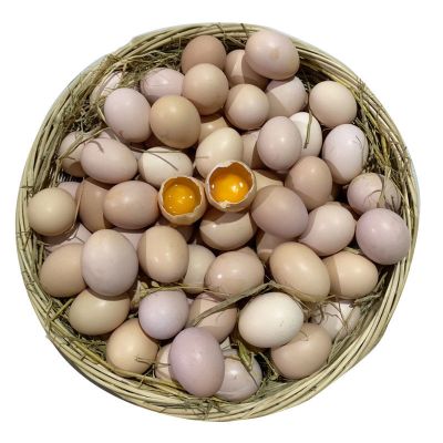 正宗土鸡蛋农家散养新鲜乌鸡蛋虫草蛋山鸡蛋组合装 40枚[土鸡蛋]