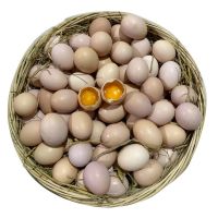 正宗土鸡蛋农家散养新鲜乌鸡蛋虫草蛋山鸡蛋组合装 50枚[土鸡蛋]