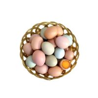 [农村散养]新鲜粉壳绿壳土鸡蛋乌鸡蛋正宗笨鸡蛋柴鸡蛋草鸡蛋 30枚[粉绿壳混合装]实惠