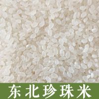 新米东北大米珍珠米 长粒香大米 粳米大米 批发价 东北珍珠米10斤(5斤*2袋)