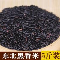 五常黑香米 黑米粥原料黑大米无染色杂粮 黑米5斤装
