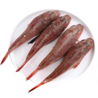 红娘子海鱼红头鱼海捕海鱼海鲜海产品鲜活生鲜红鱼红绣鞋 2斤新鲜装