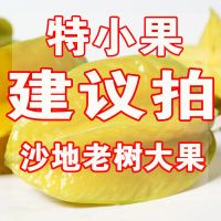 老树爆汁新鲜甜杨桃水果应季桃台湾红杨桃洋五角星批发 特小果16个19.9元