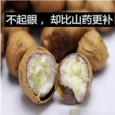 2021年山药豆新鲜铁棍山药蛋1/5斤绿色农家