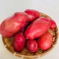 马铃薯洋芋土豆花心5斤/9斤牛角土豆云南形状奇异