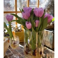 水培玻璃花盆郁金香水养花瓶白掌绿萝植物百合盆透明玻璃花瓶圆筒