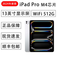 2024款 Apple iPad Pro 512G港版银色 13英寸 M4芯片 WiFi 平板电脑