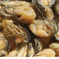乳山小牡蛎干 小生蚝干海蛎干海鲜干货大袋新晒饱满