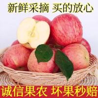 陕西脆甜冰糖心苹果当季水果新鲜整箱红富士应季