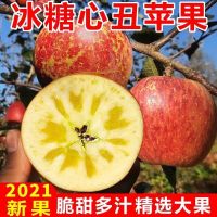 四川正宗大凉山丑苹果冰糖心3/5/10斤装新鲜水果当季红富士批发