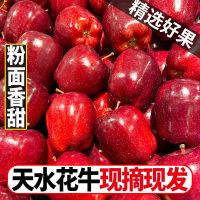 天水花牛苹果应季新鲜水果红蛇果批发整箱价