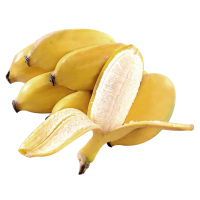 湛航 广西小米蕉香蕉新鲜水果小香芭蕉苹果蕉