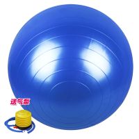 加厚防爆瑜伽花生球健身瘦身瑜伽球幼儿童感统训练触觉康复球 蓝色圆形球60*60