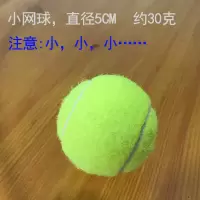 高弹训练对打网球大小网球签名充气 宠物大网球狗狗网球展示 小网球5CM 荧光绿