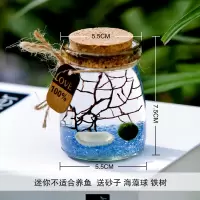 吊挂悬挂桌面斗鱼缸 蘑菇创意鱼缸 多肉植物鱼缸小生态缸桌面鱼缸 藻球款