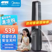 美的(Midea)“母婴级”遥控感温无叶风扇家用轻音变频电风扇远距柔风螺旋风道摇头定时小型风扇 AMS150G-ZR