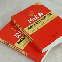 民法典2021年版正版新版民法典及相关司法解释汇编 含民事案件案由规定7个新增111个修正 法律出版社 新华书店旗舰店文