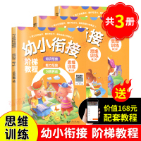 幼小衔接阶梯教程思维训练第1-3阶全三册全彩页 幼儿入学幼小衔接 大班升一年级早教书/学前班教材全套4-6岁儿童书籍