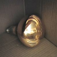 红外线理疗灯泡275W烤灯理疗器灯泡家用红外线灯取暖灯灯头配件 275W原装黄光灯泡1个 (买2送1) 100-300W