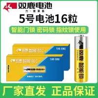 双鹿电子门锁5号电池1.5v密码锁指纹锁防盗门锁碱性AA小电池 16粒指纹锁电池