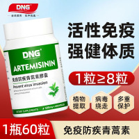 DNG原装进口天然青蒿素胶囊植物提取青蒿素琥酯免疫提升60粒*12瓶
