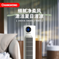 长虹(CHANGHONG)空调扇塔扇立式可移动风扇CTS-60A02