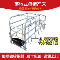 落地式母猪产床定位栏限位栏简易产床单个猪位一个栏位养猪设备带饮水器