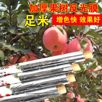 农用苹果反光膜 温室增温增色高亮苹果桃子葡萄果树花卉反光膜纸
