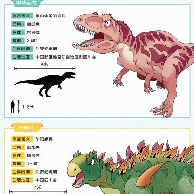 大中华寻宝记系列恐龙世界寻宝记1闪电幻兽漫画书6-9-12岁小学生科普百科漫画书籍 二十一世纪出版社恐龙新疆海南寻宝记内