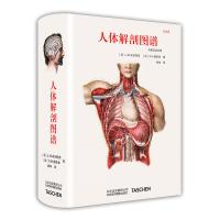 人体解剖图谱 版 汉英法拉四语对照 骨关节学肌肉筋膜外科解剖学外科技术手术学 人体解刨彩色学图谱 人体解刨学教材 医学书