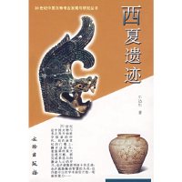 [有货]西夏遗迹/20世纪中国文物考古发现与研究丛书