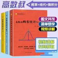 全3册 高数叔概率统计入门 高数叔线性代数入门 高数叔微积分入门 高数叔高等数学入门大学高等数学教材同步辅导 高数