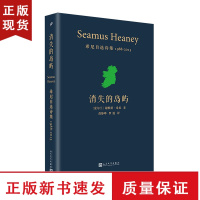 B消失的岛屿 希尼自选诗集1988-2013 爱尔兰诗人剧作家诺贝尔文学奖得主谢默斯希尼的诗歌 外国诗歌集鉴赏外国文学畅