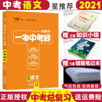 【正版】2021中考语文一本中考题语文中考题库解题题典初中刷题九年级初三中考复习资料星一本涂书中学教辅书练习册手写