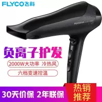 飞科(FLYCO) 电吹风机家用负离子冷热风家用大功率吹风筒电风吹2000W 亮黑