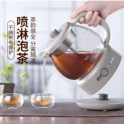 小熊 ZCQ-A10Q1养生壶全自动迷你加厚玻璃红茶黑茶煮茶器蒸茶器
