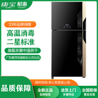 耐惠(NAAFI)XDZ100-BP1 100升家用消毒柜 立式双层 厨房碗筷柜 高温餐具 大容量 二星级高温 小型