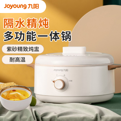 九阳(Joyoung)家用2L电炖锅多功能料理锅电火锅电煮锅 DG20G-GD160(白)
