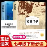 初中生必读名著中学生七八九年级课外书骆驼祥子海底两万里朝花夕 七年级下册必读2本送考点