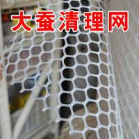 大蚕清理网养蚕宝宝活体专用养蚕工具 80cm*100cm一张