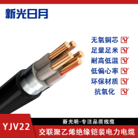 新光日月 交联聚乙烯绝缘铠装电力电缆YJV22(5芯)6平方/每米