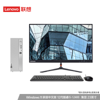 联想(Lenovo)天逸510S 12代酷睿六核i5-12400 16G 1T+256G固态 主机+23英寸显示器 家用网课学习 商务办公 迷你小机箱 台式机电脑套机 定制版