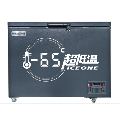 凌仕达(LIRNESDA) DW-65W228 220升冷冻冰柜大容量商用卧式冷柜 深冷超低温零下-65度冷柜