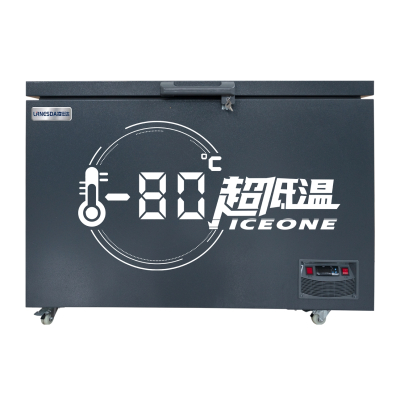 凌仕达(LIRNESDA) DW-80W228 220升冷冻冰柜大容量商用卧式冷柜家用 深冷超低温零下-80度